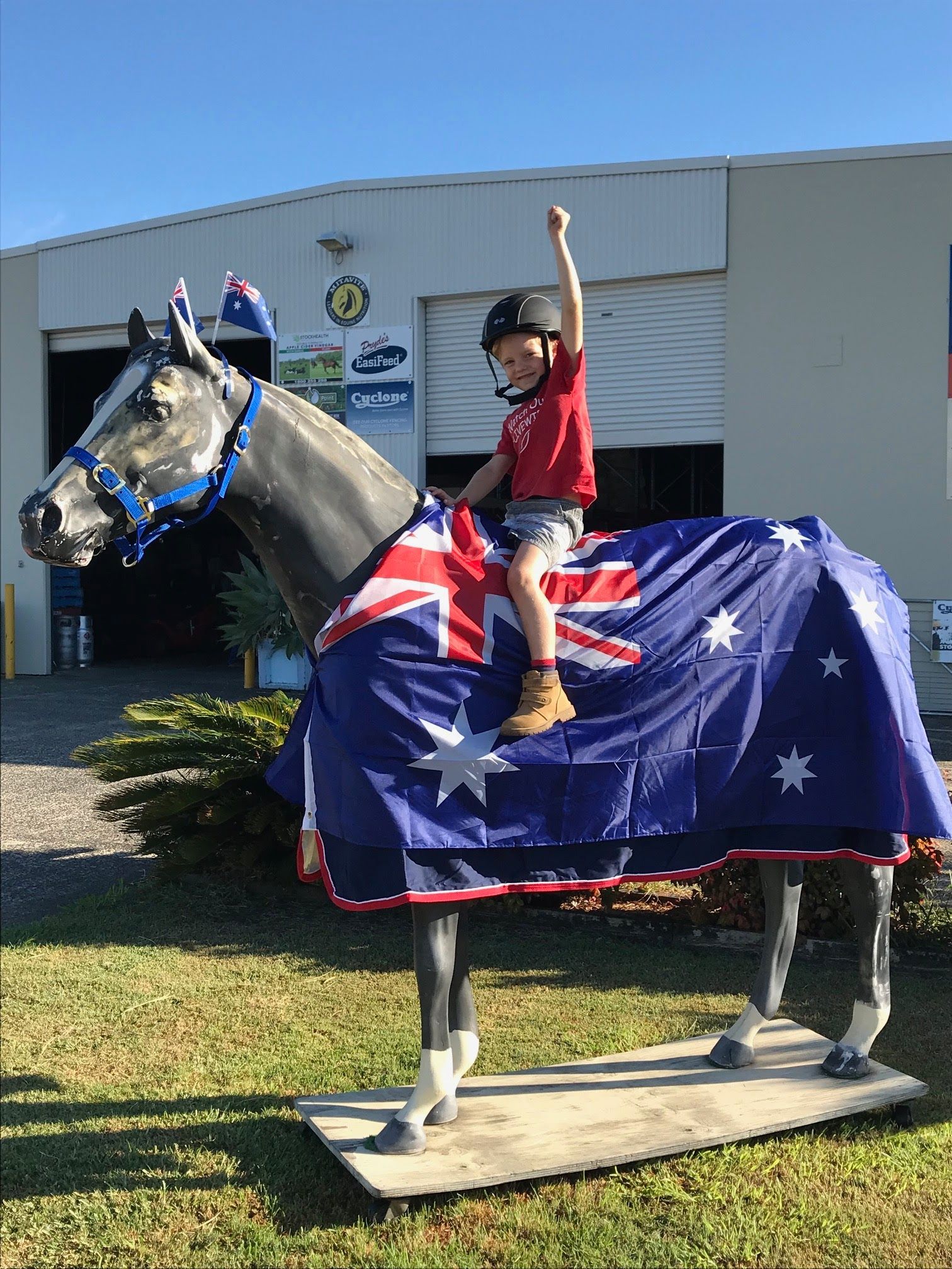 Boy on a Horse Statue Draped in an Australian Flag — North Coast Stock Feeds in Ballina, NSW