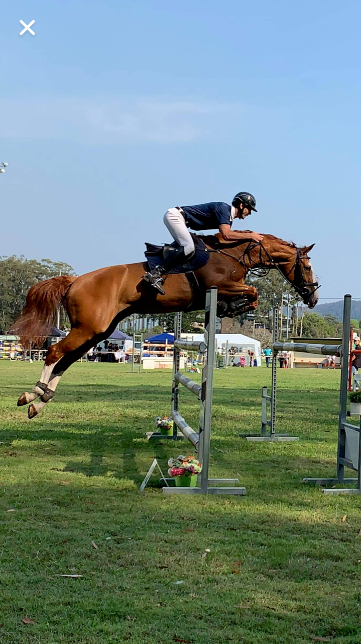Rider on a Chestnut Horse Jumps on Obstacle— North Coast Stock Feeds in Wardell, NSW