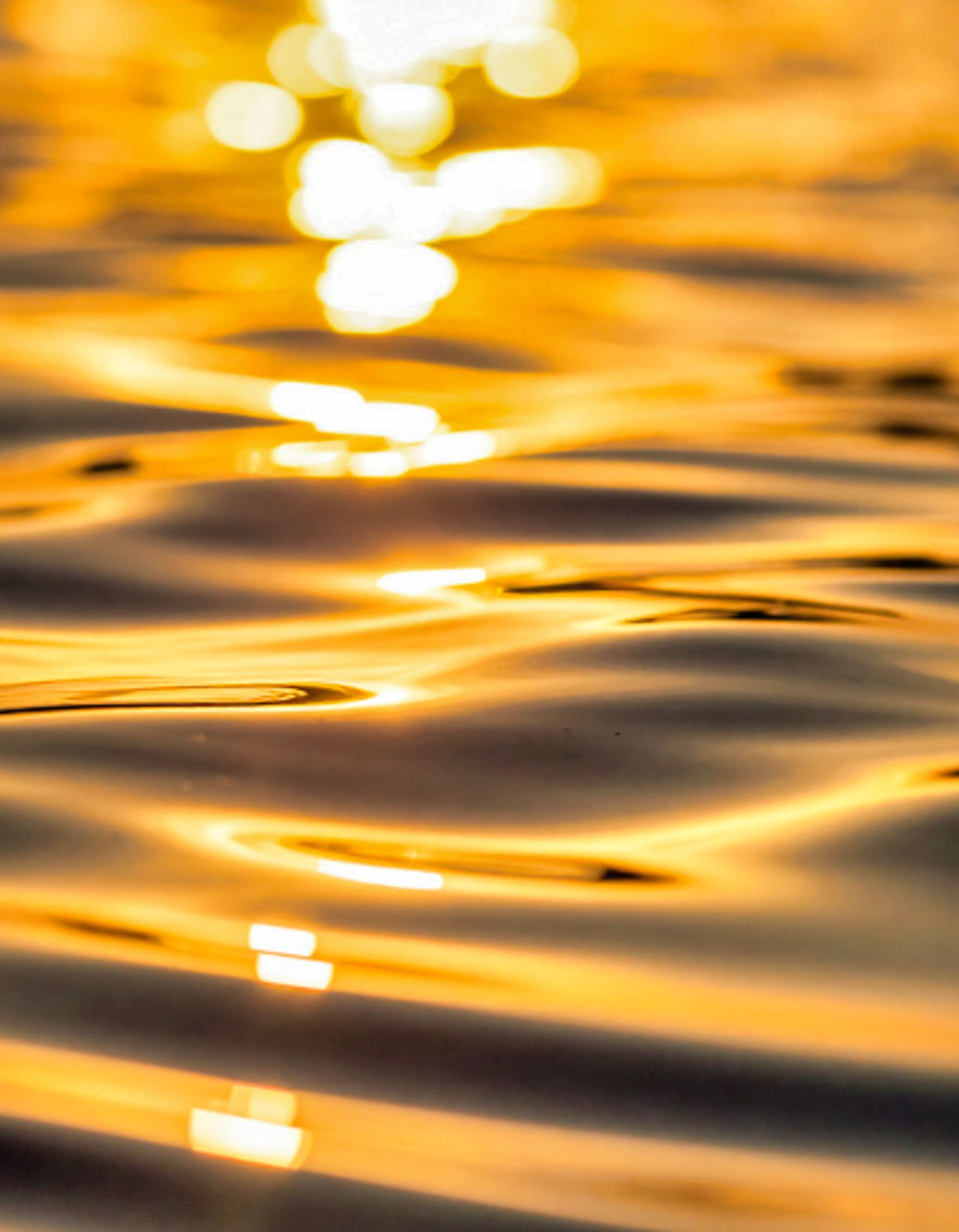 Champagne-gold light reflecting across gentle water
