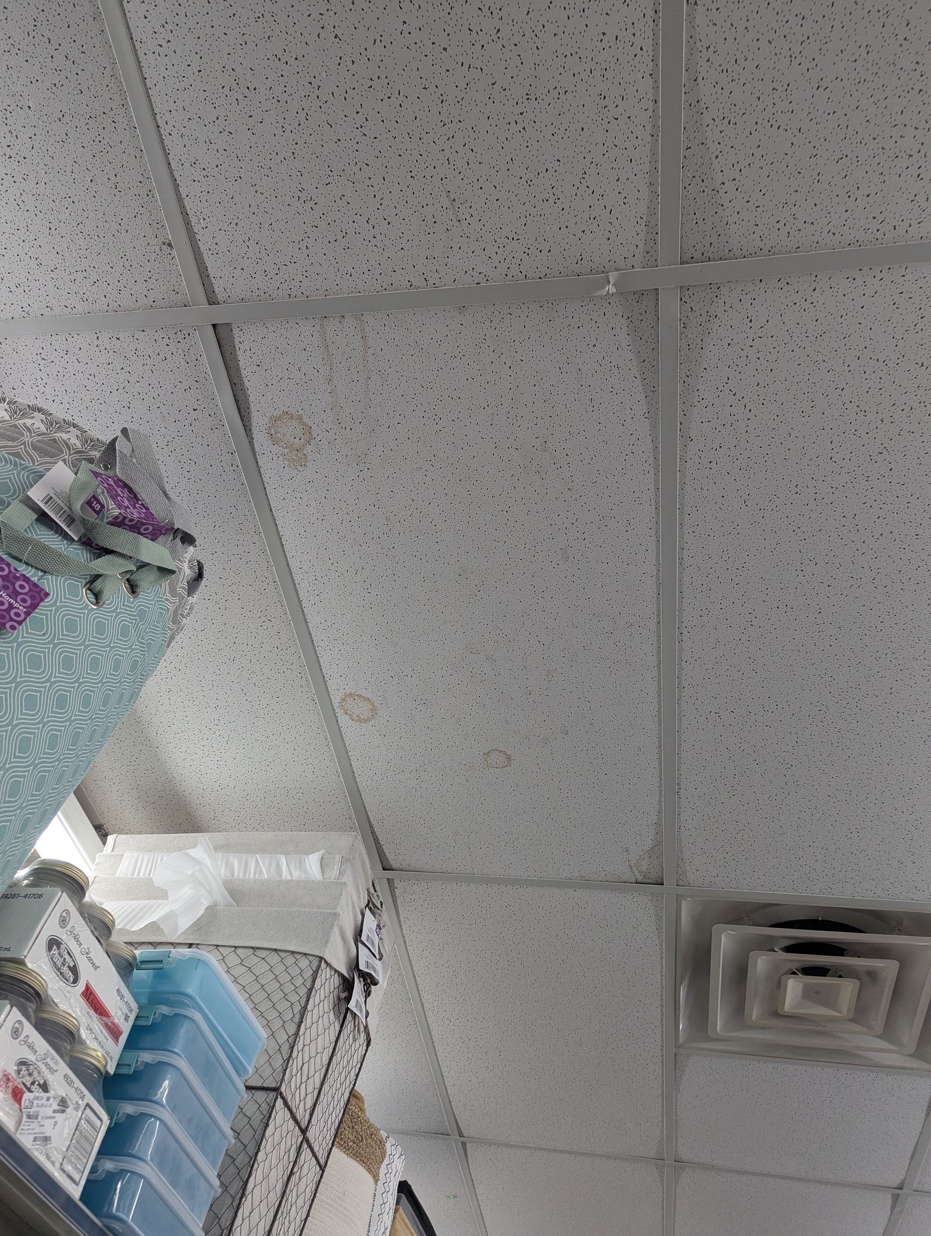 A low-angle view of a drop ceiling with square acoustic tiles, metal grid frames, and a square air vent.