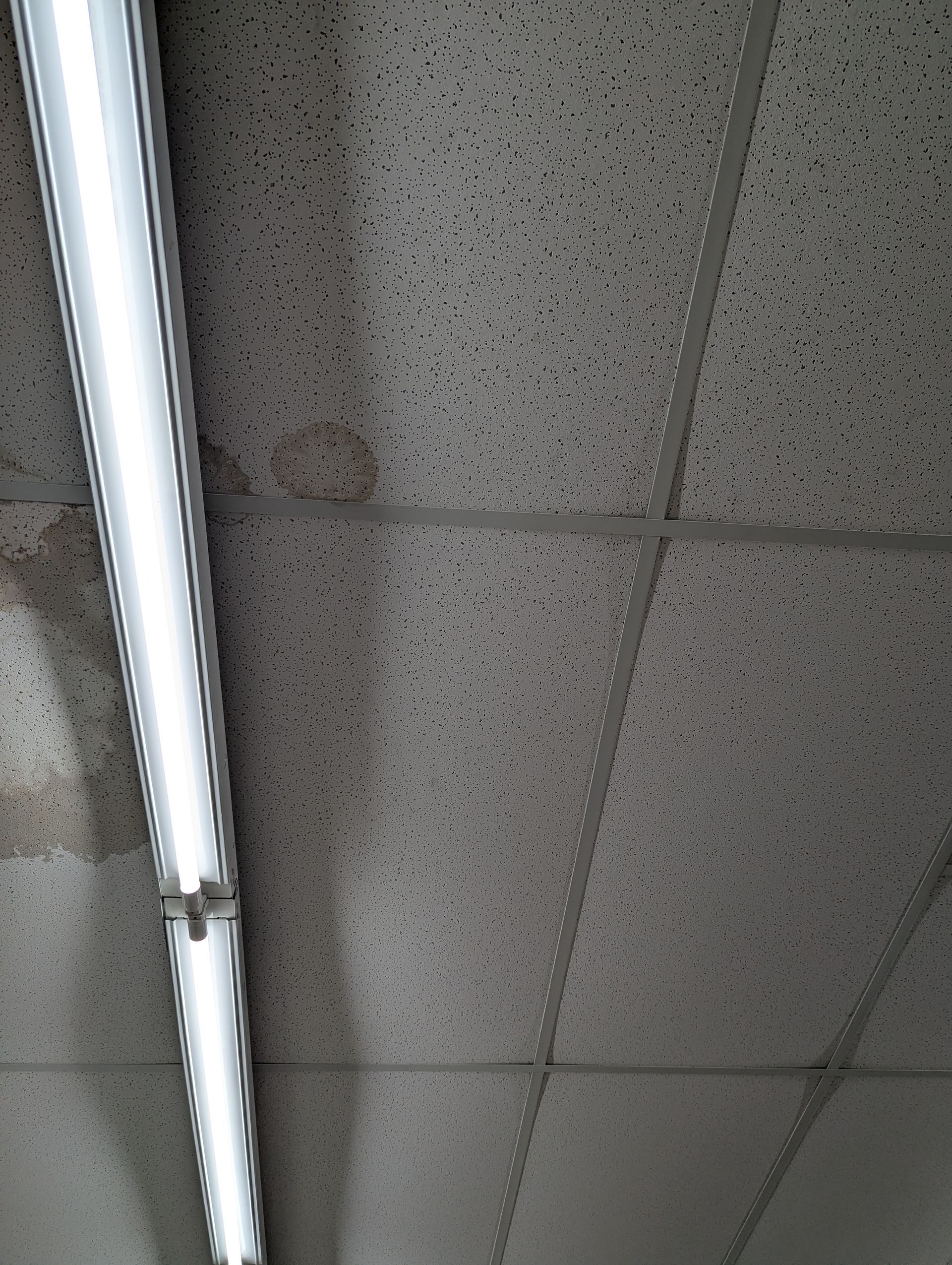 A long fluorescent light fixture is mounted on a textured, off-white drop ceiling with visible water stains.