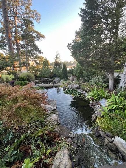Nice Open Field With Landscaped Area — Virginia Beach, VA — Gentle Rain Nice Open Field With Landscaped Area — Virginia Beach, VA — Gentle Rain