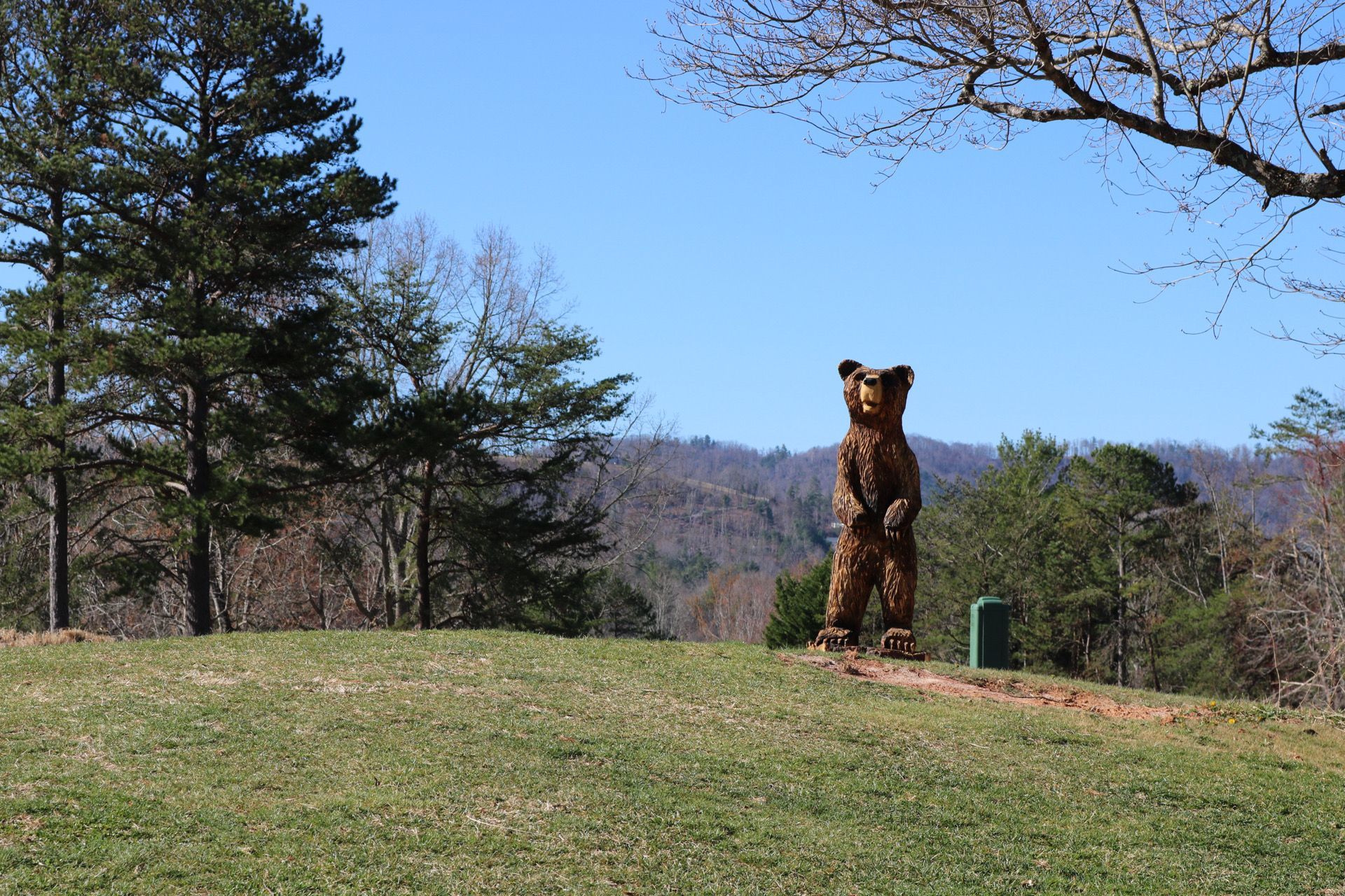Wooden bear statue on a grassy hill, mountains in the background, blue sky.