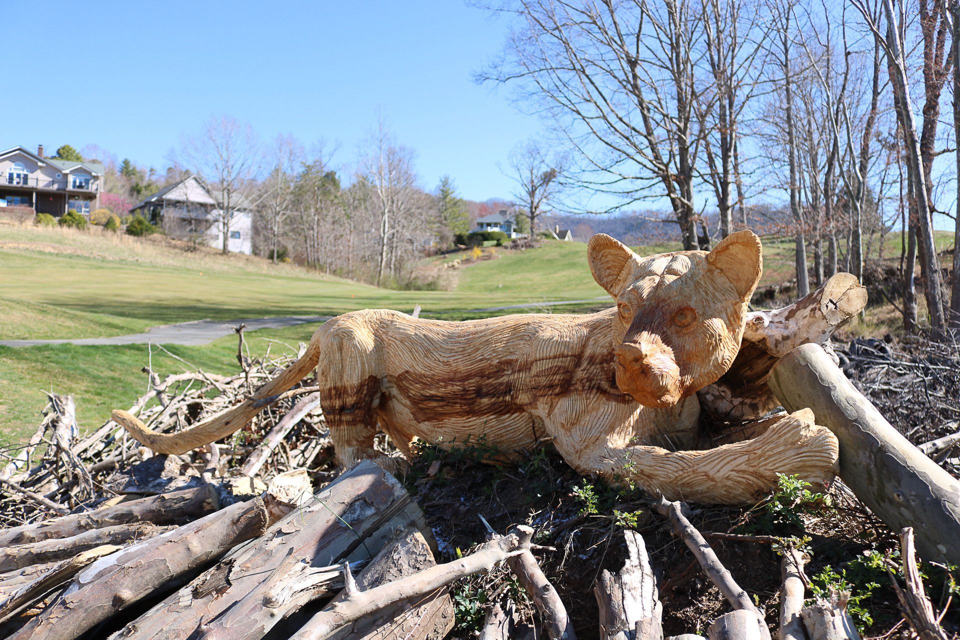 Wooden lion sculpture on a pile of logs, resting in a grassy area, with houses and trees in the background.