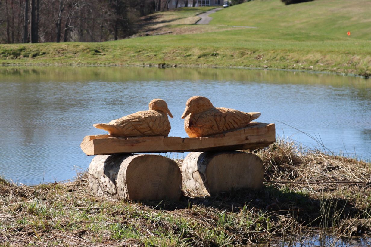 Two carved wooden ducks sit on a small wooden bench near a pond.