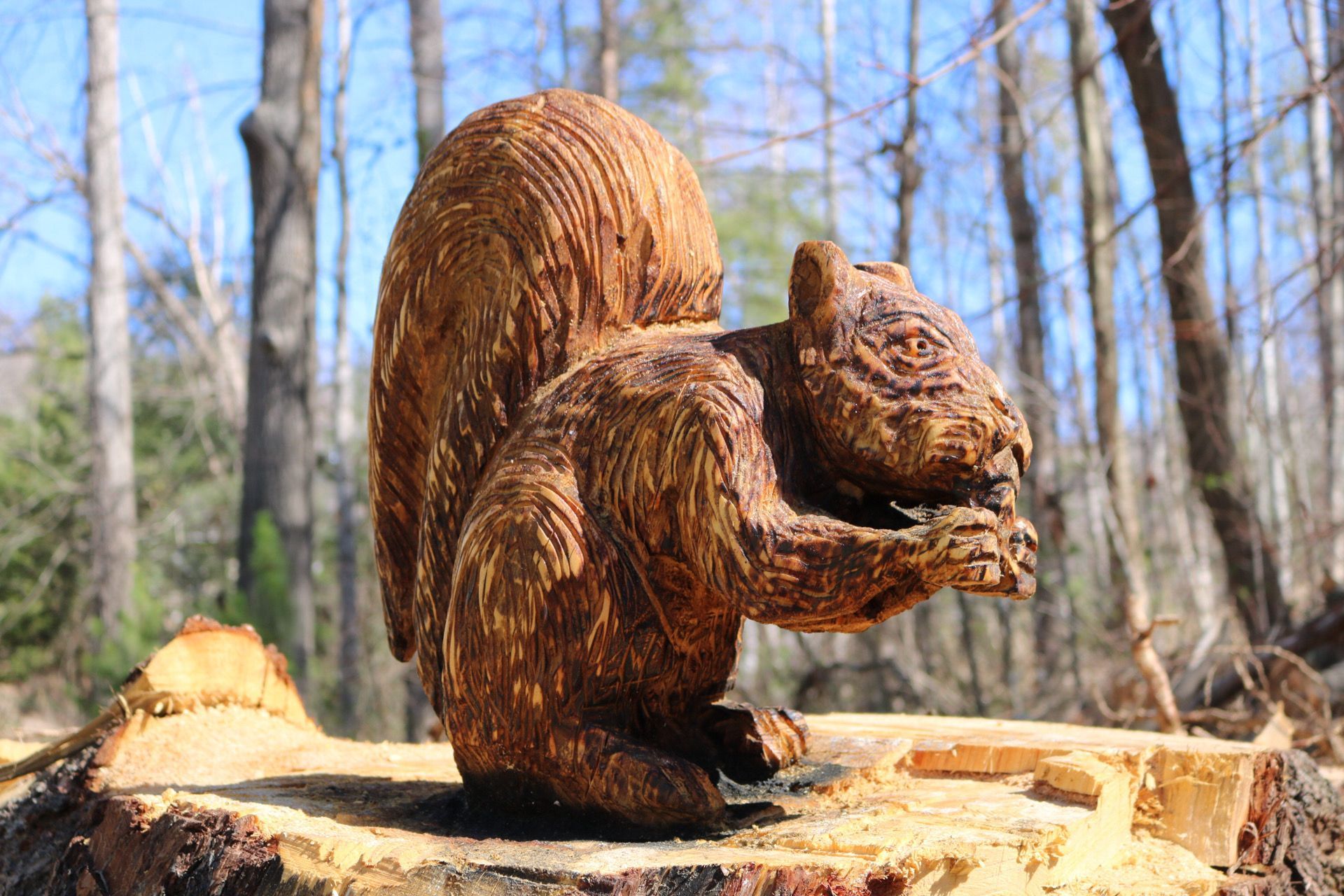 Wooden squirrel sculpture eating a nut, set outdoors on a tree stump, forest background.