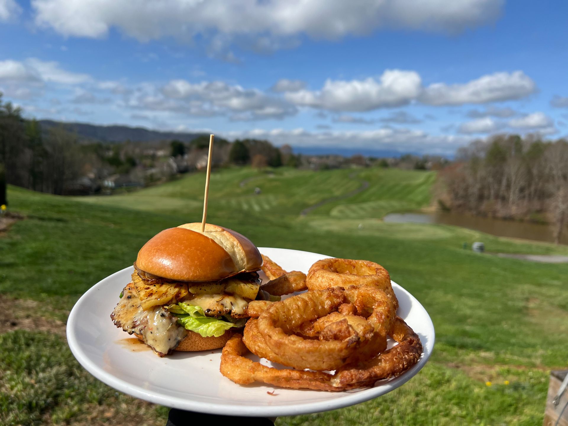 Plate with burger and onion rings against a golf course landscape under a blue sky.