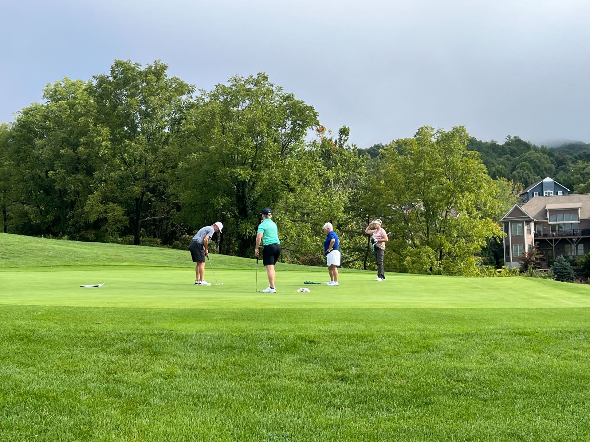 Four golfers on a putting green, preparing to putt, trees and houses in background.