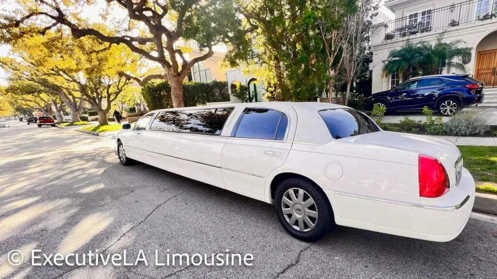 White stretch limousine parked on a tree-lined street outside buildings, with sunlight and long shadows.