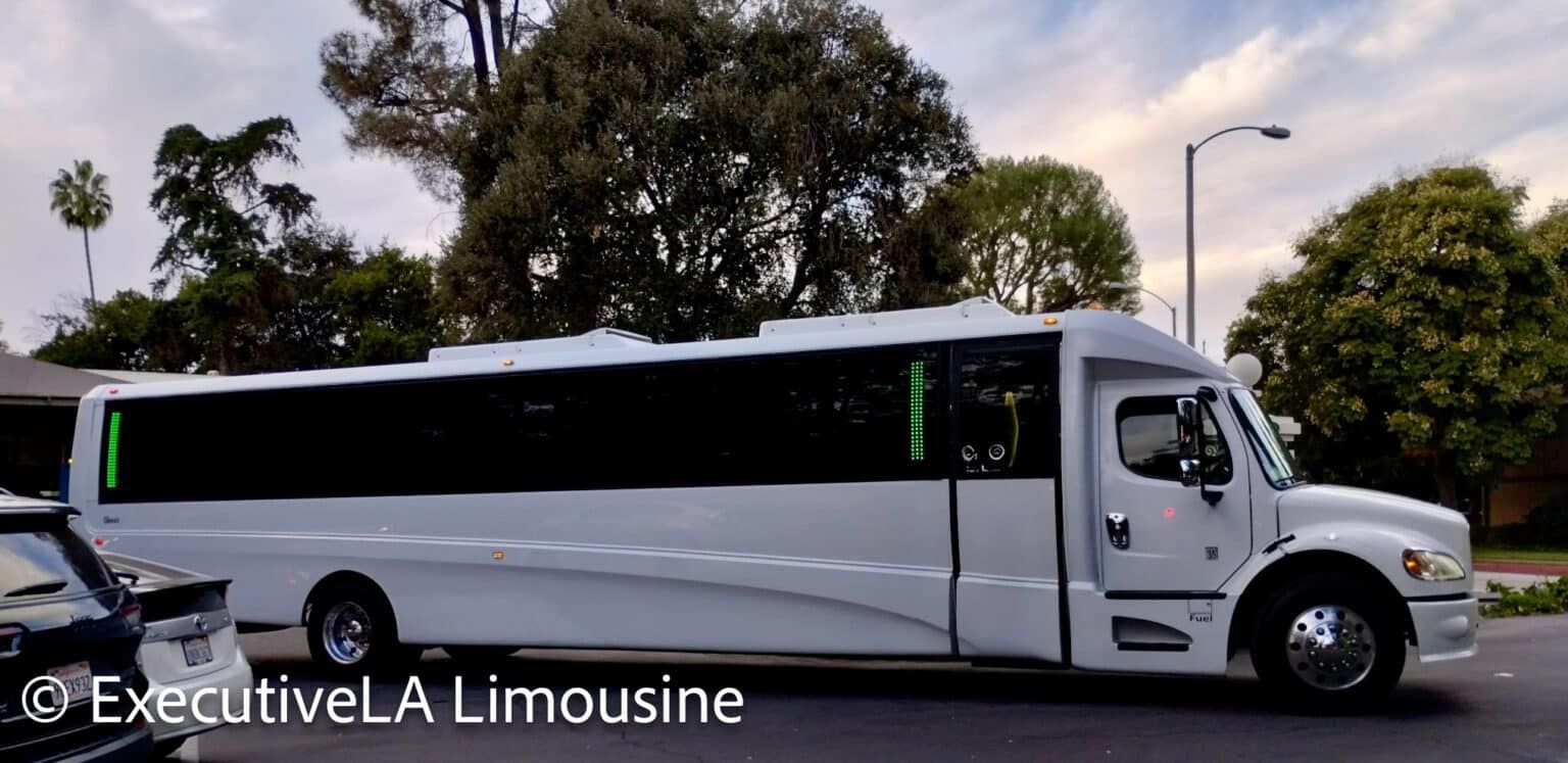 White stretch limousine parked on a street with trees and a cloudy sky