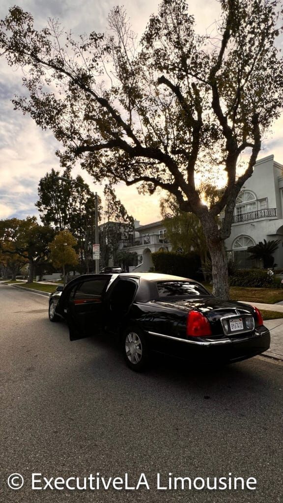 Black stretch limousine parked on a tree-lined street at dusk, with the rear door open.