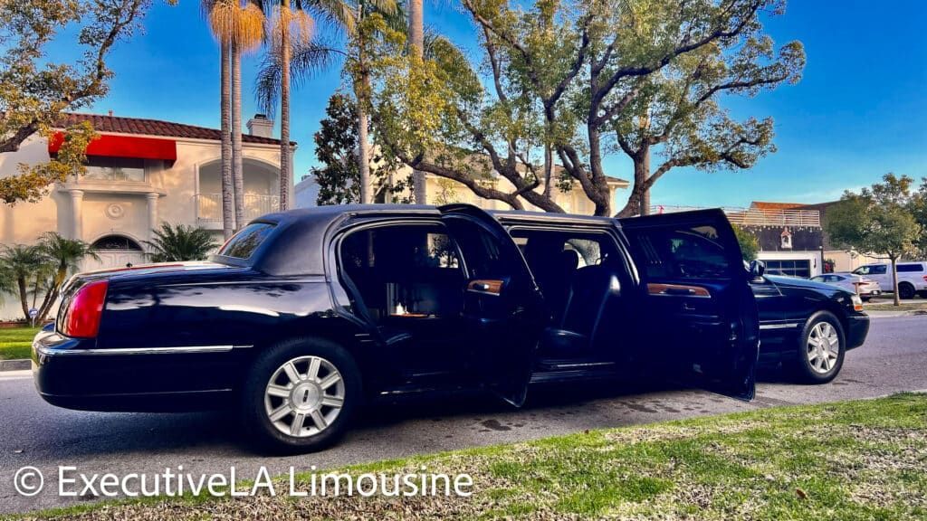 Black stretch limousine with open rear door parked outdoors near palm trees and a building