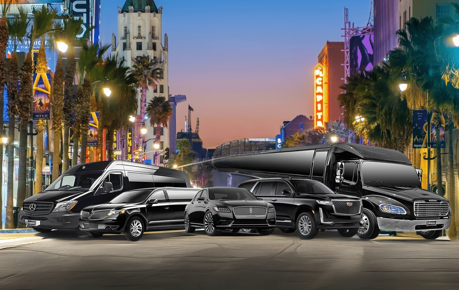 A row of sleek black cars parked on a palm-lined city street at sunset.