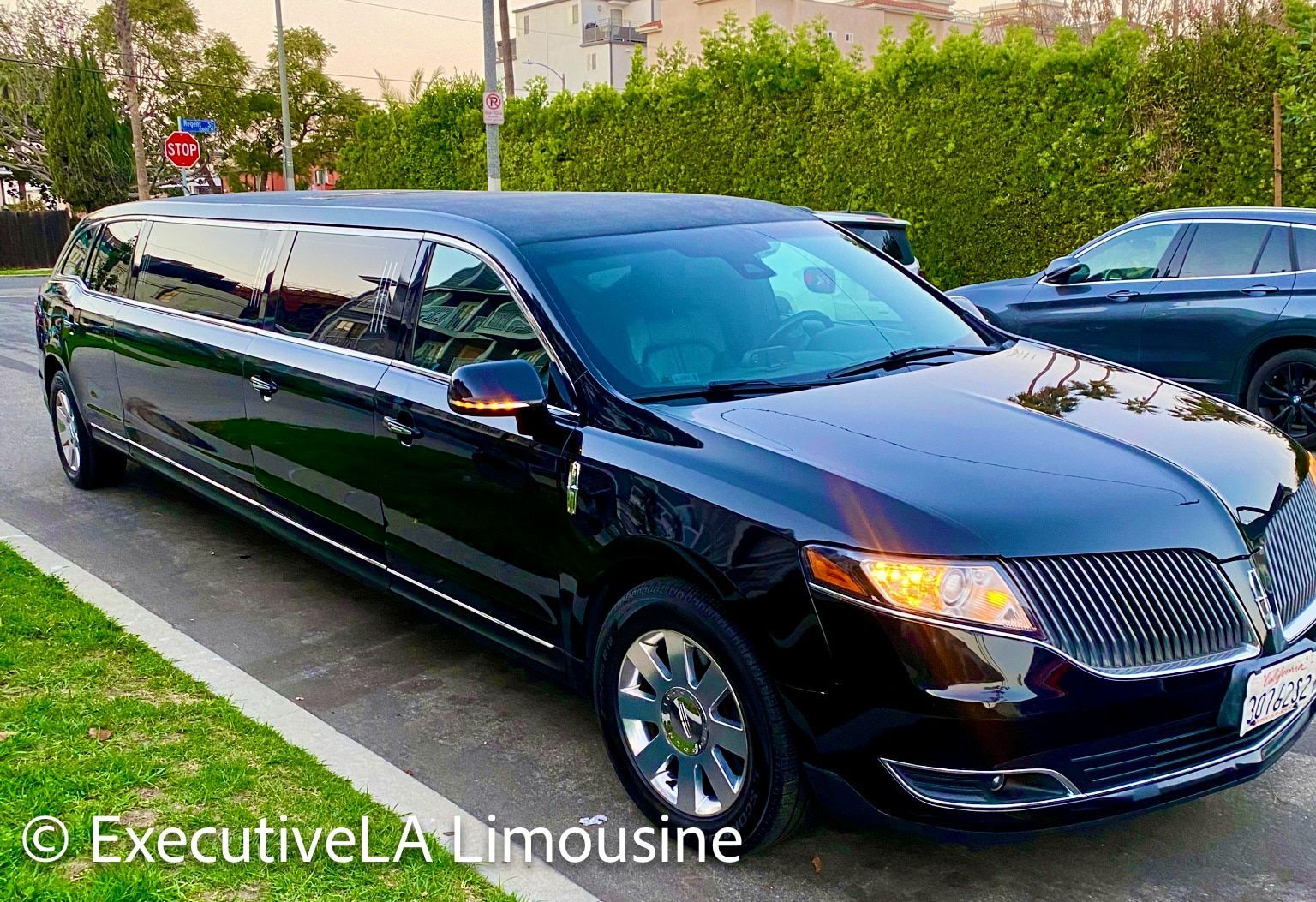 Black stretch limousine parked on a street beside greenery, with another car in the background.