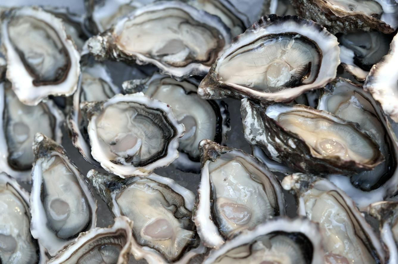 A Bunch of Oysters — Stones Oysters & Shed Takeaway in Taree, NSW