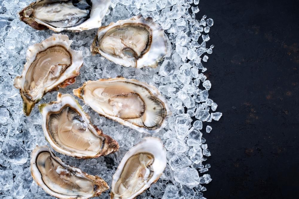 A Bunch of Oysters Sitting on Top of Ice — Stones Oysters & Shed Takeaway in Harrington, NSW