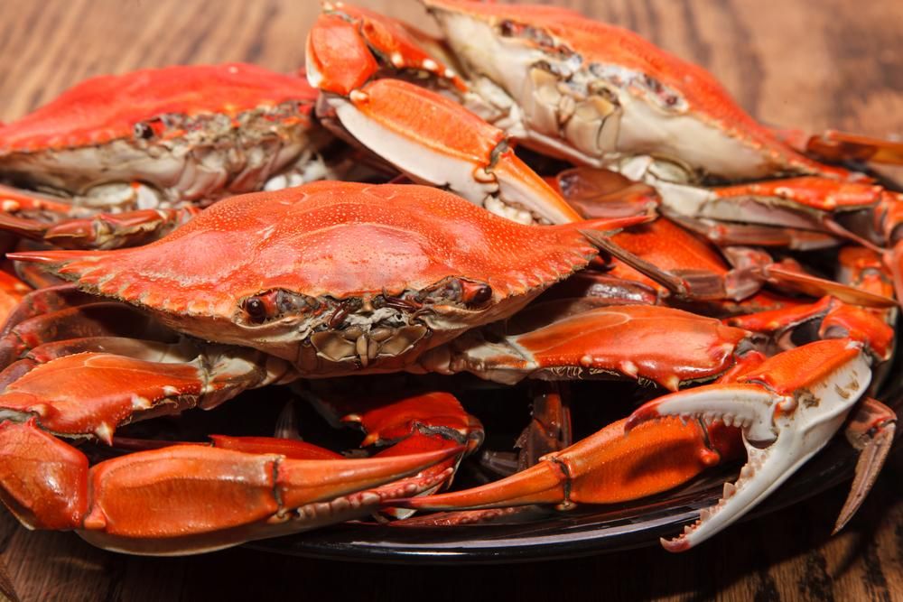 A Plate of Cooked Crabs — Stones Oysters & Shed Takeaway in Taree, NSW