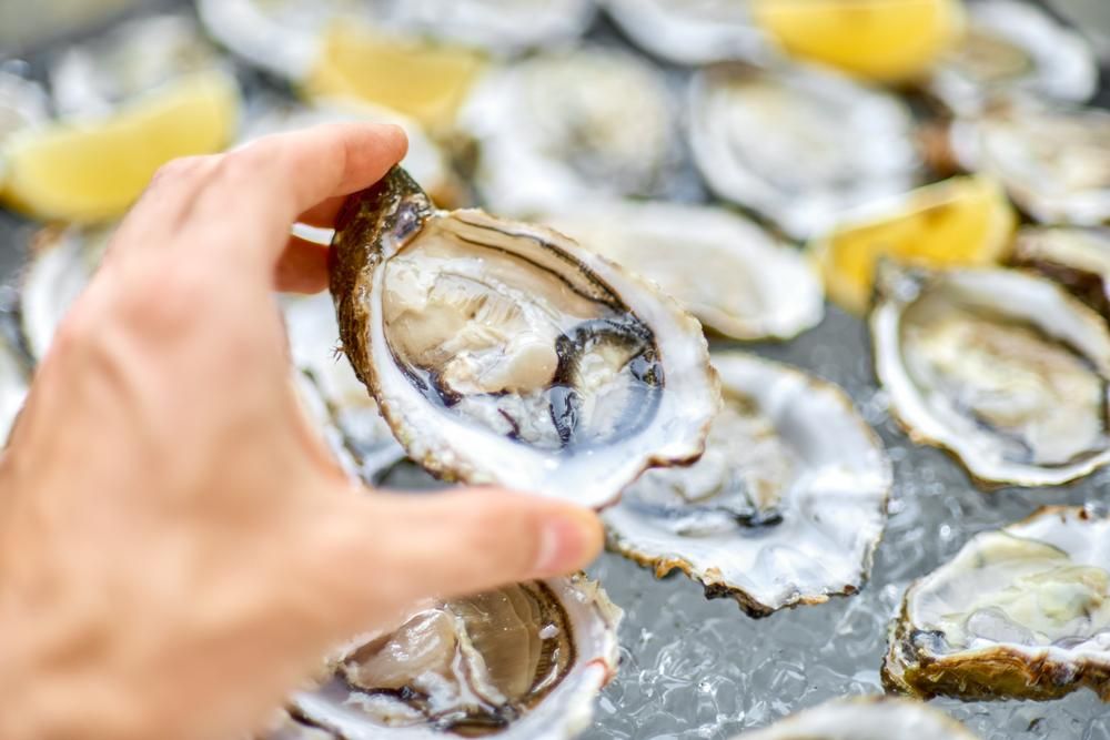 A Person Is Holding an Oyster in Their Hand — Stones Oysters & Shed Takeaway in Coopernook, NSW