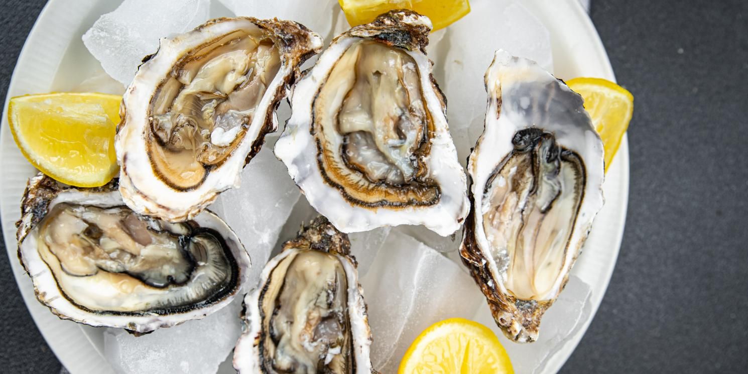A White Plate Topped with Oysters — Stones Oysters & Shed Takeaway in Taree, NSW