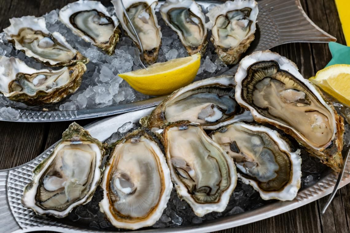 Two Plates of Oysters on Ice — Stones Oysters & Shed Takeaway in Harrington, NSW