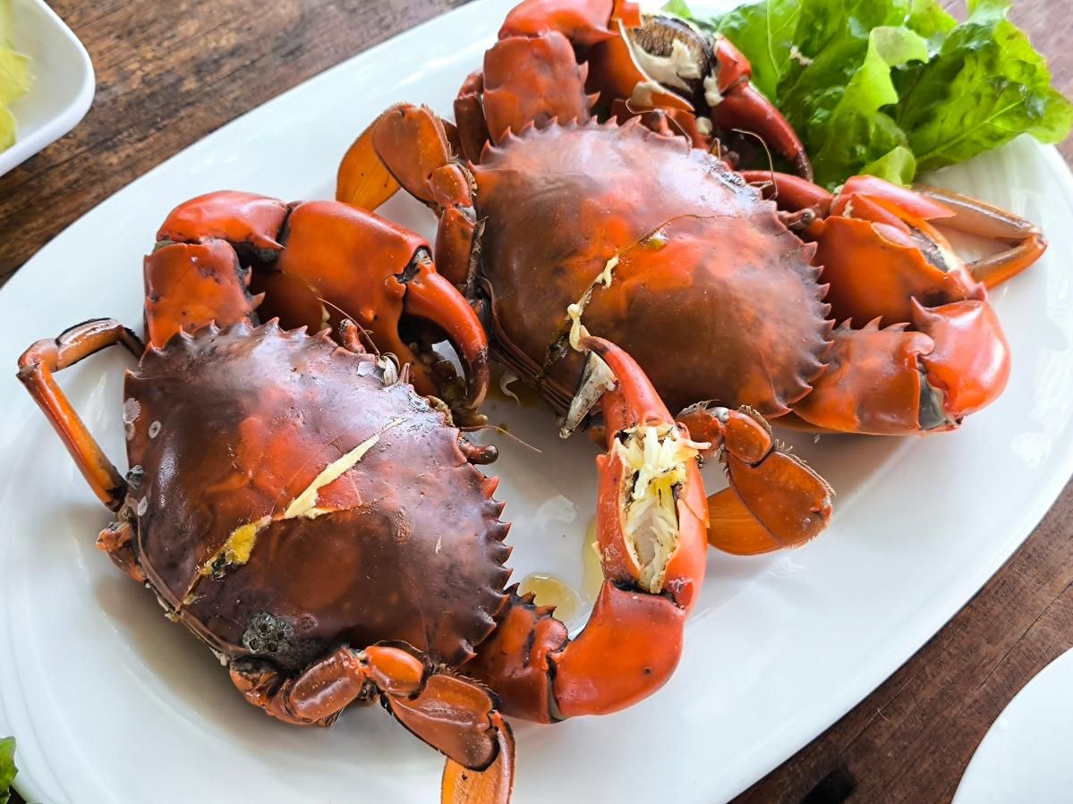 A White Plate Topped with Crabs and Lettuce — Stones Oysters & Shed Takeaway in Harrington, NSW