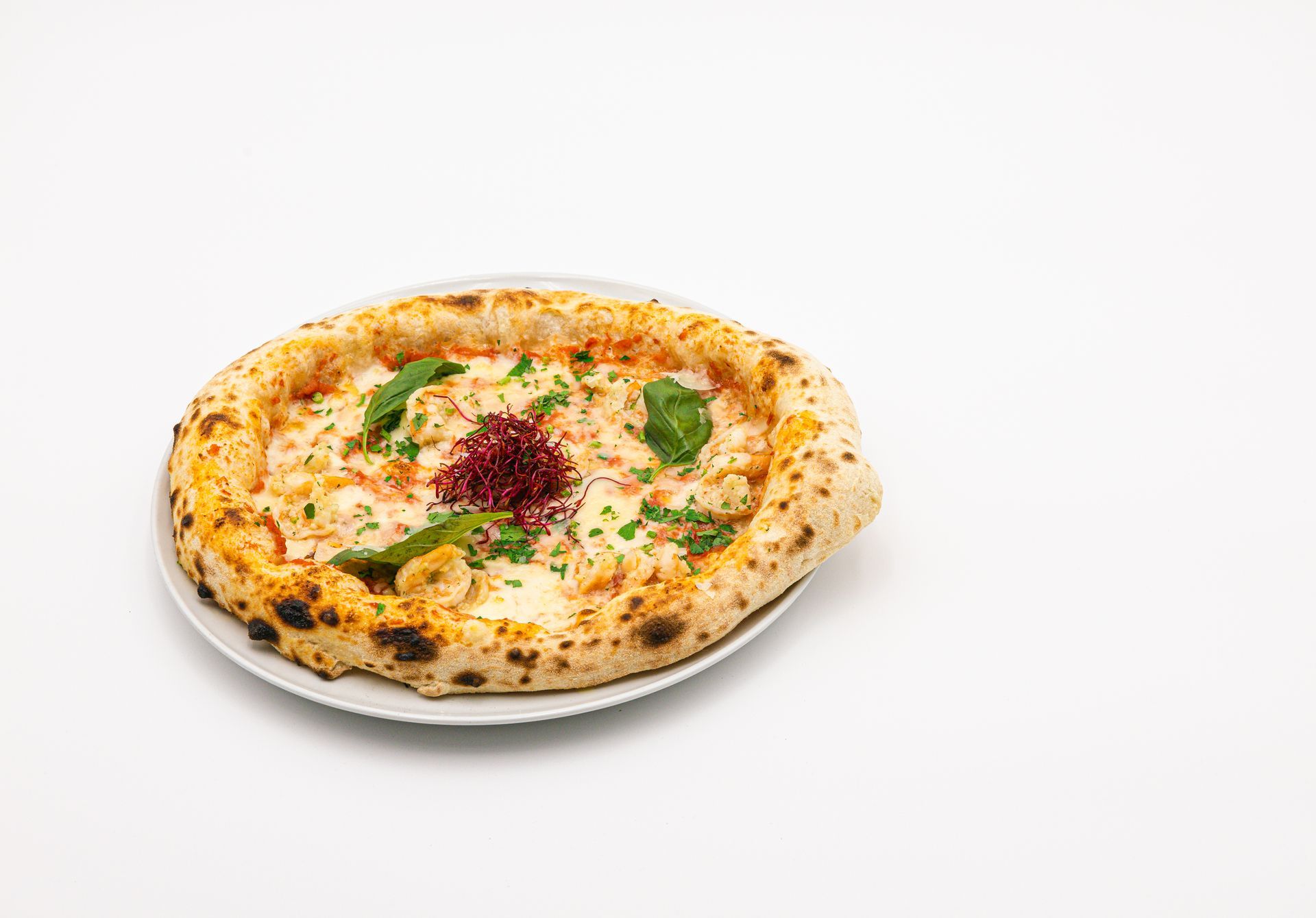 Eine runde Pizza mit dünnem Boden, belegt mit weißem Käse, Basilikumblättern und einem zentralen Häufchen Sprossen.
