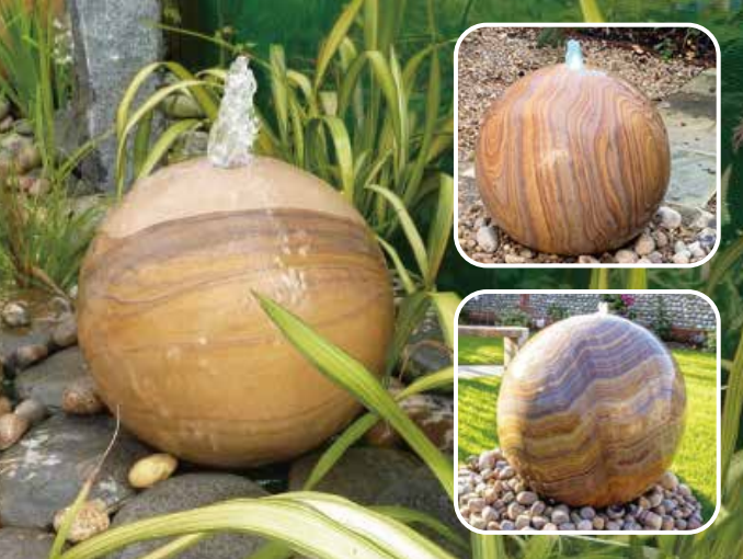 Red-footed tortoise