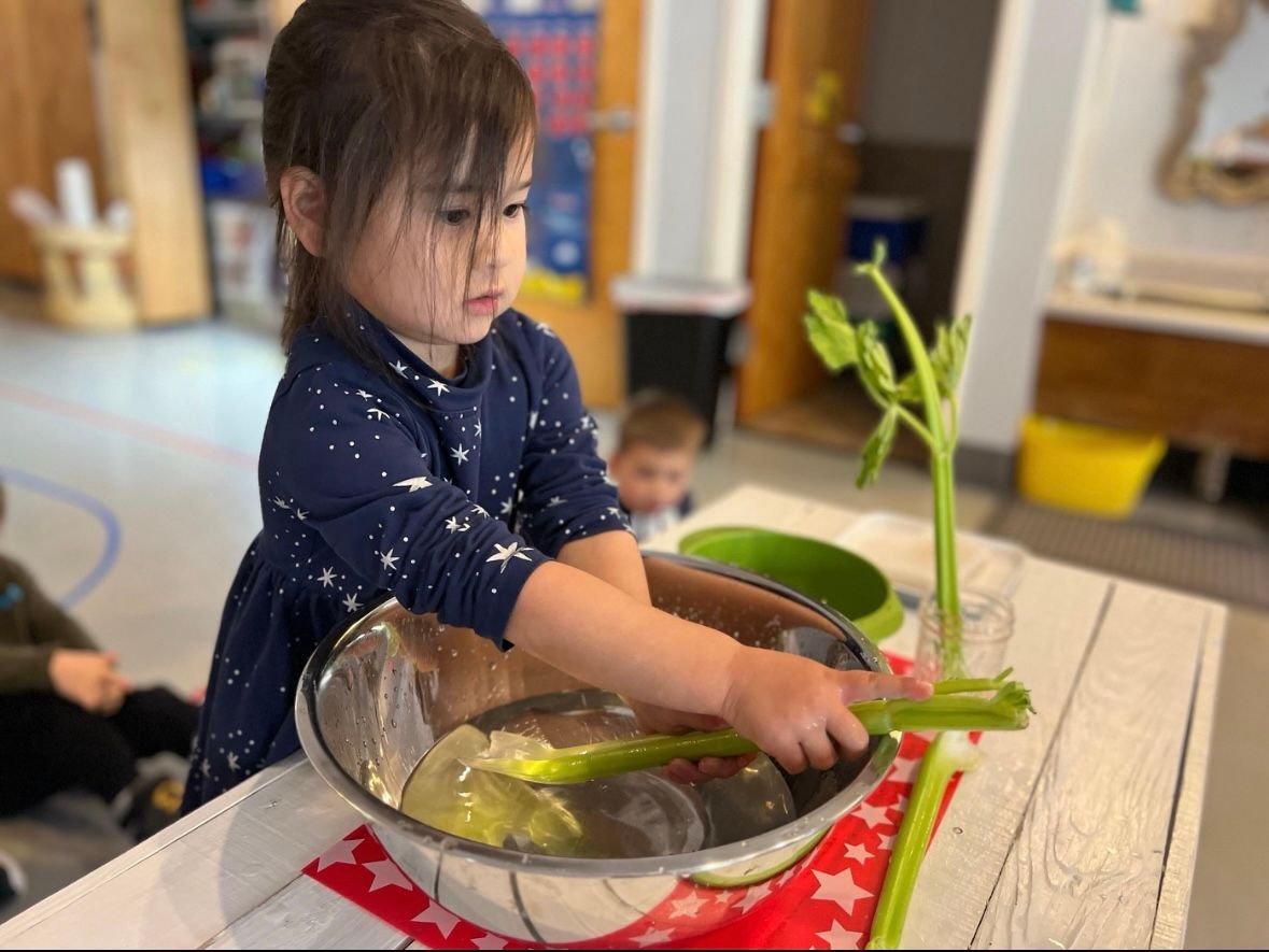 A little girl is washing a bowl of vegetables.
