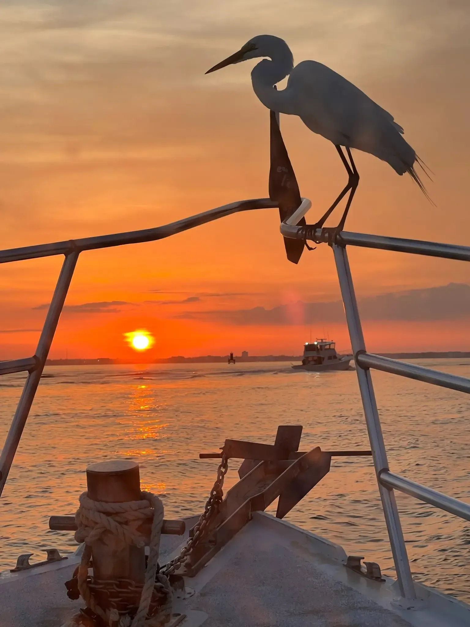 Sunset burial at sea Panama City Beach – bird perched on Reel Groovy vessel