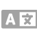 Language icon with A and X for 8 hour fishing charter Panama City Beach with Reel Groovy Experiences