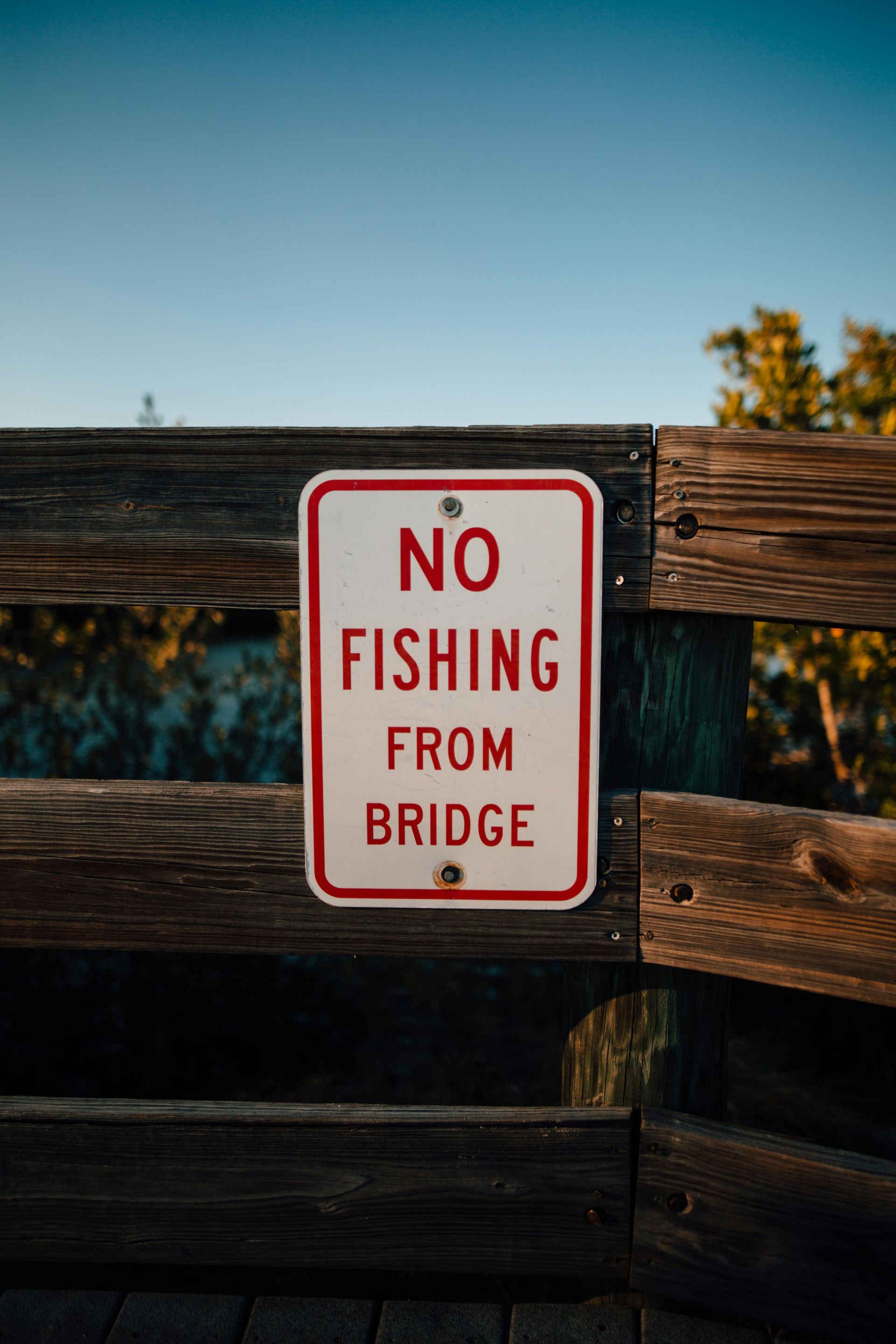 Florida Wildlife Fishing License | Panama City Beach