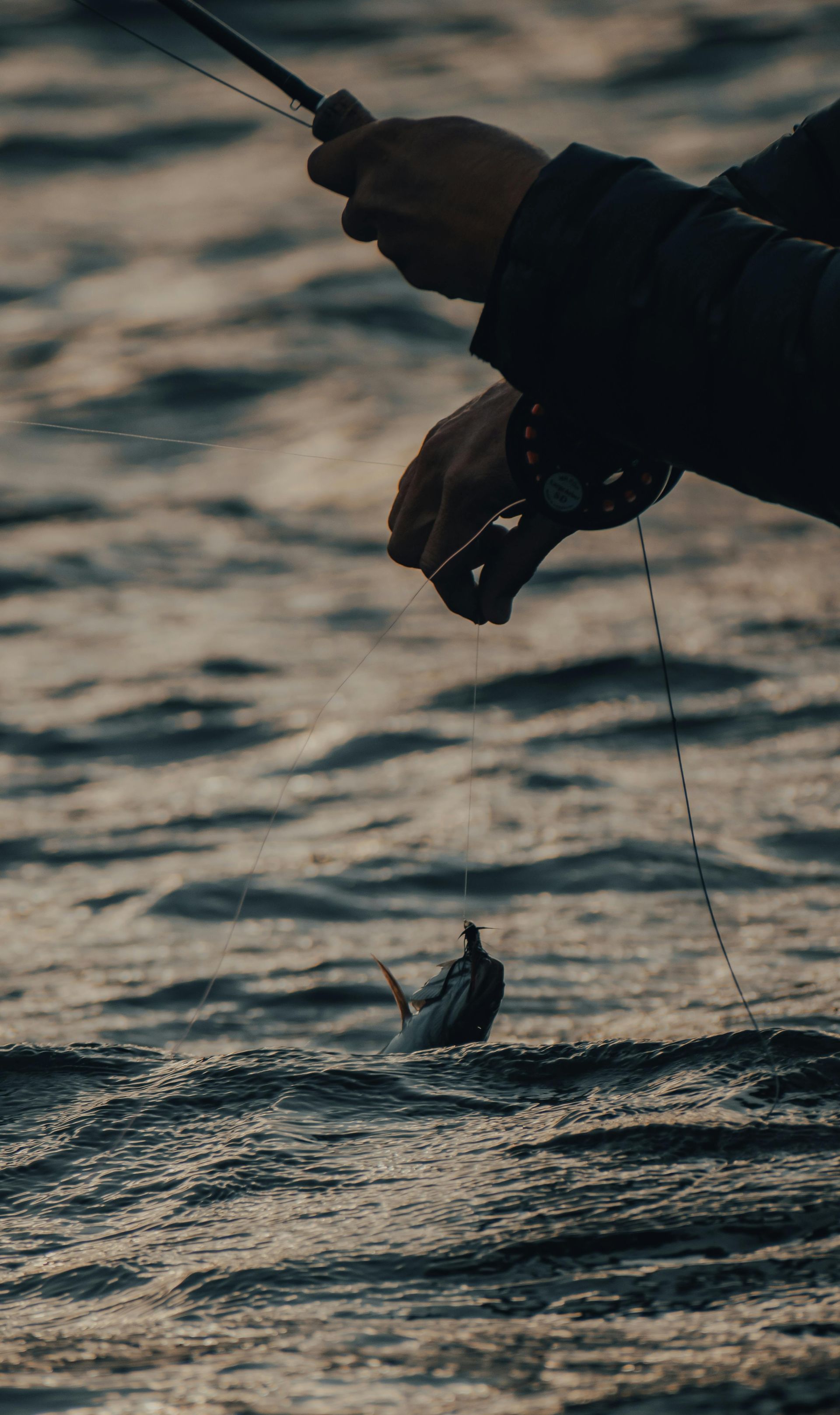 Fisherman reeling in catch on deep sea fishing trip Panama City Beach with Reel Groovy Experiences