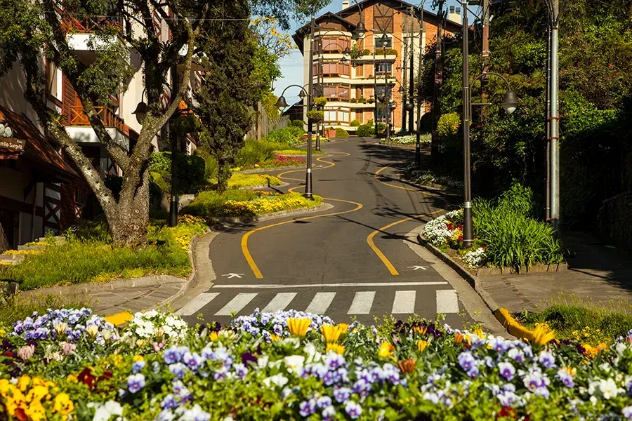 Uma rua sinuosa com faixa de pedestres, rodeada por canteiros de flores exuberantes e árvores, que conduz a um edifício de vários andares.