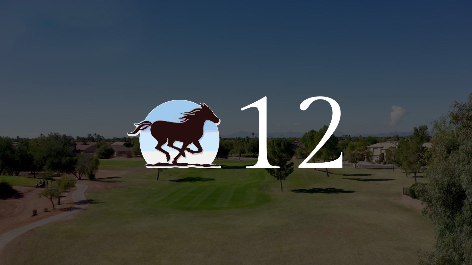 A picture of a horse with the number 12 on it