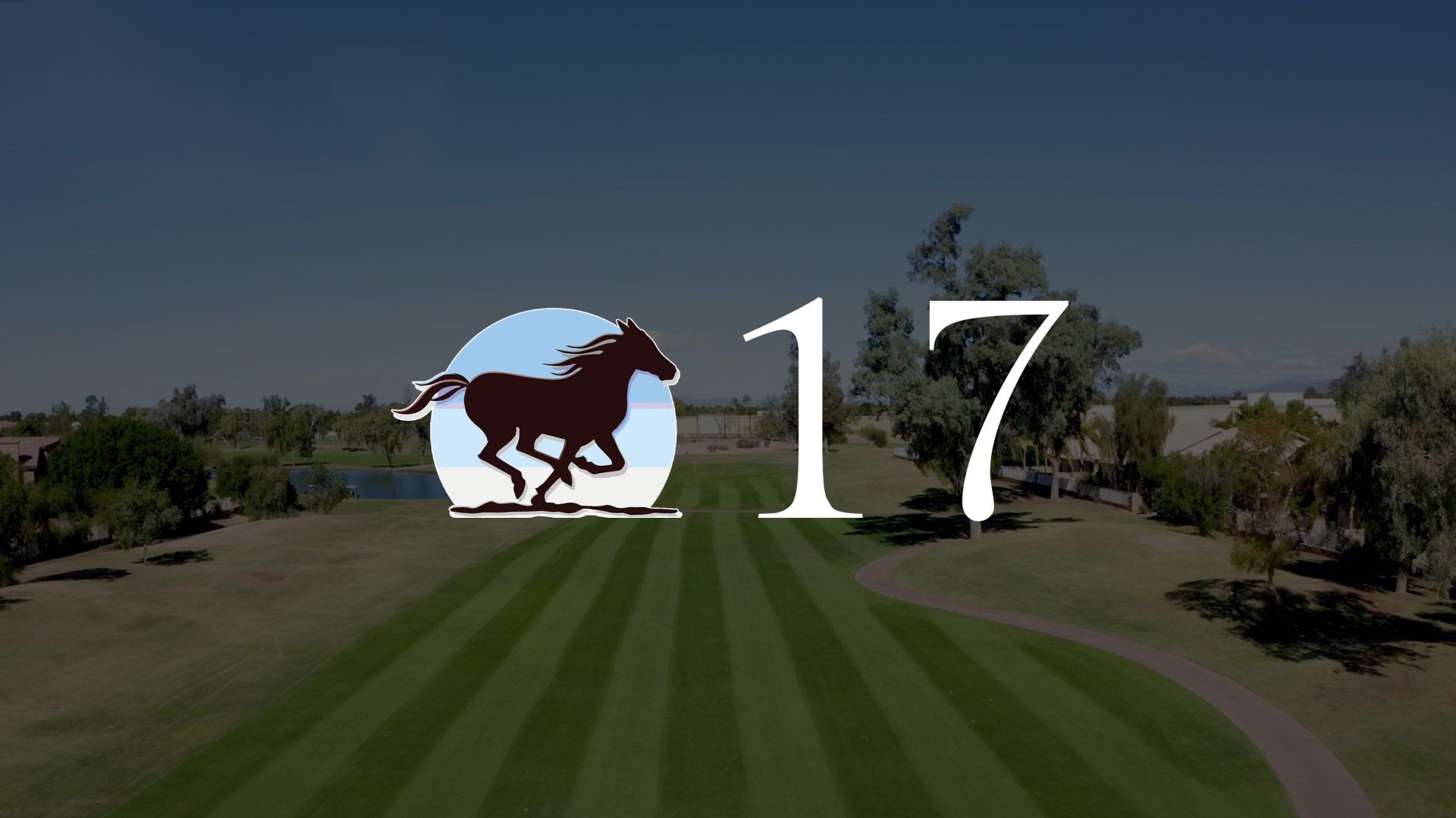 A picture of a horse and the number 17 on a golf course.