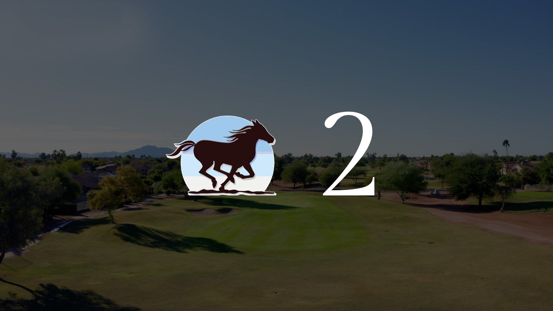 An aerial view of a horse running in a field with the number 2.