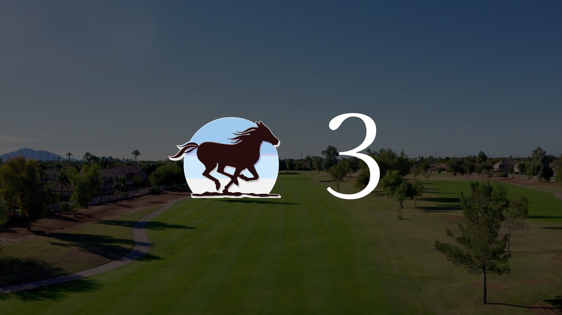 An aerial view of a golf course with a horse in the foreground and the number three in the background.