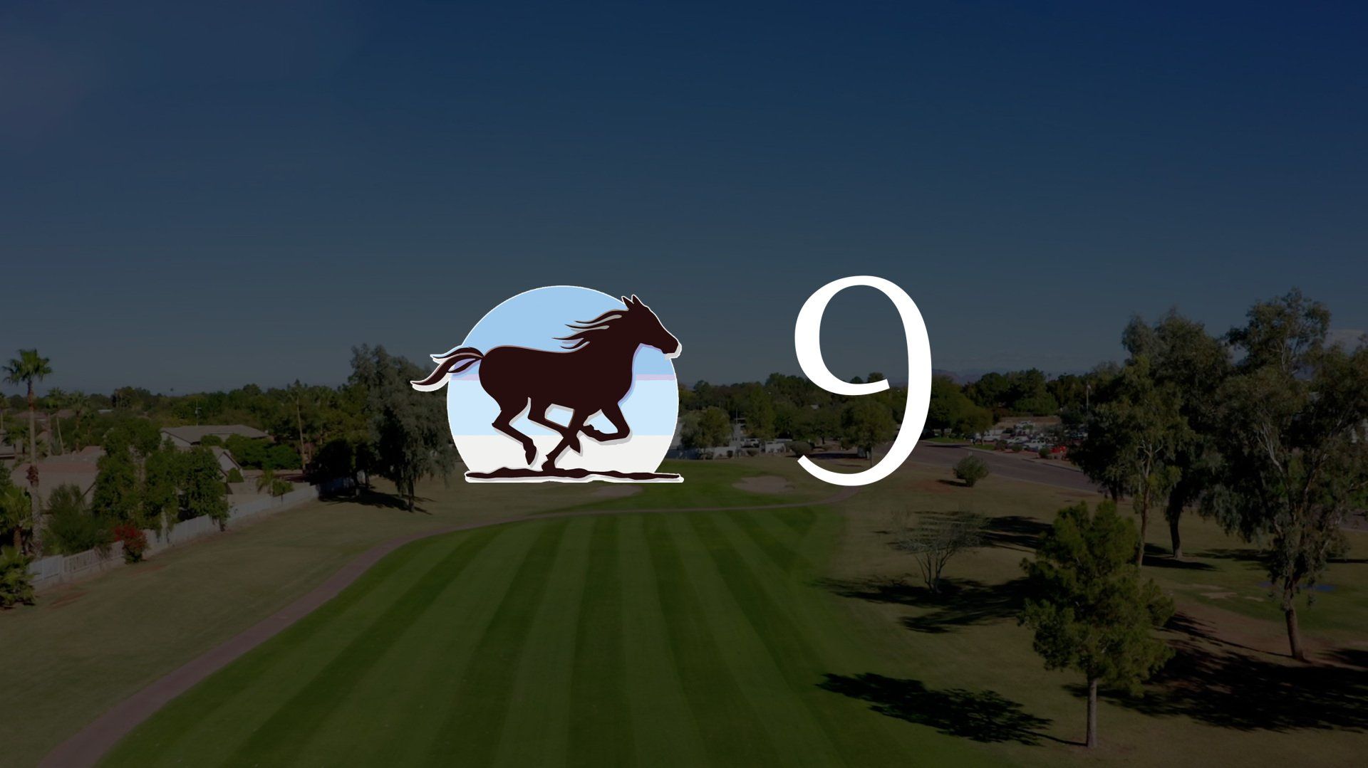A horse is running on a golf course with the number 9.
