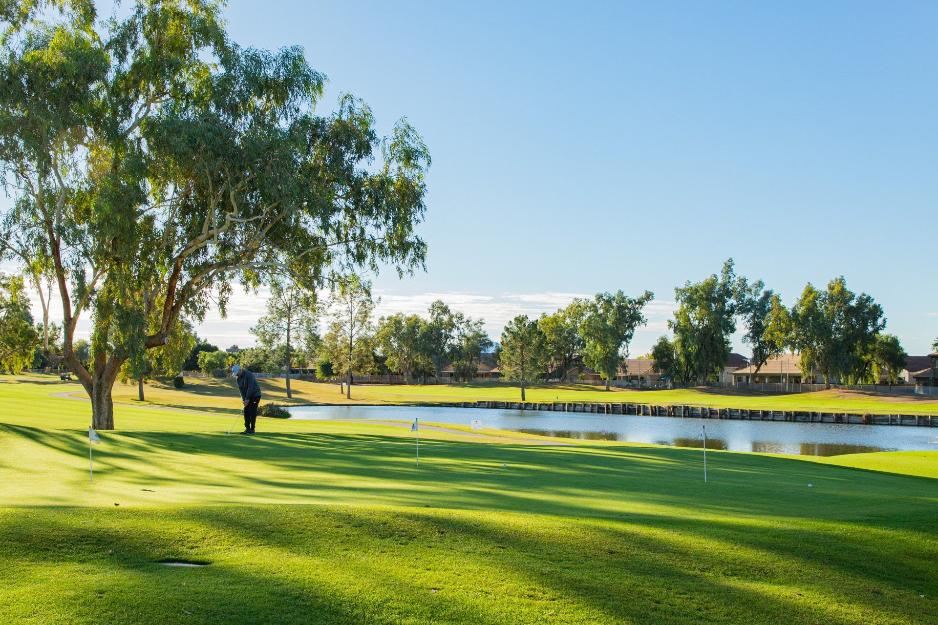 A man is standing on a golf course next to a lake.