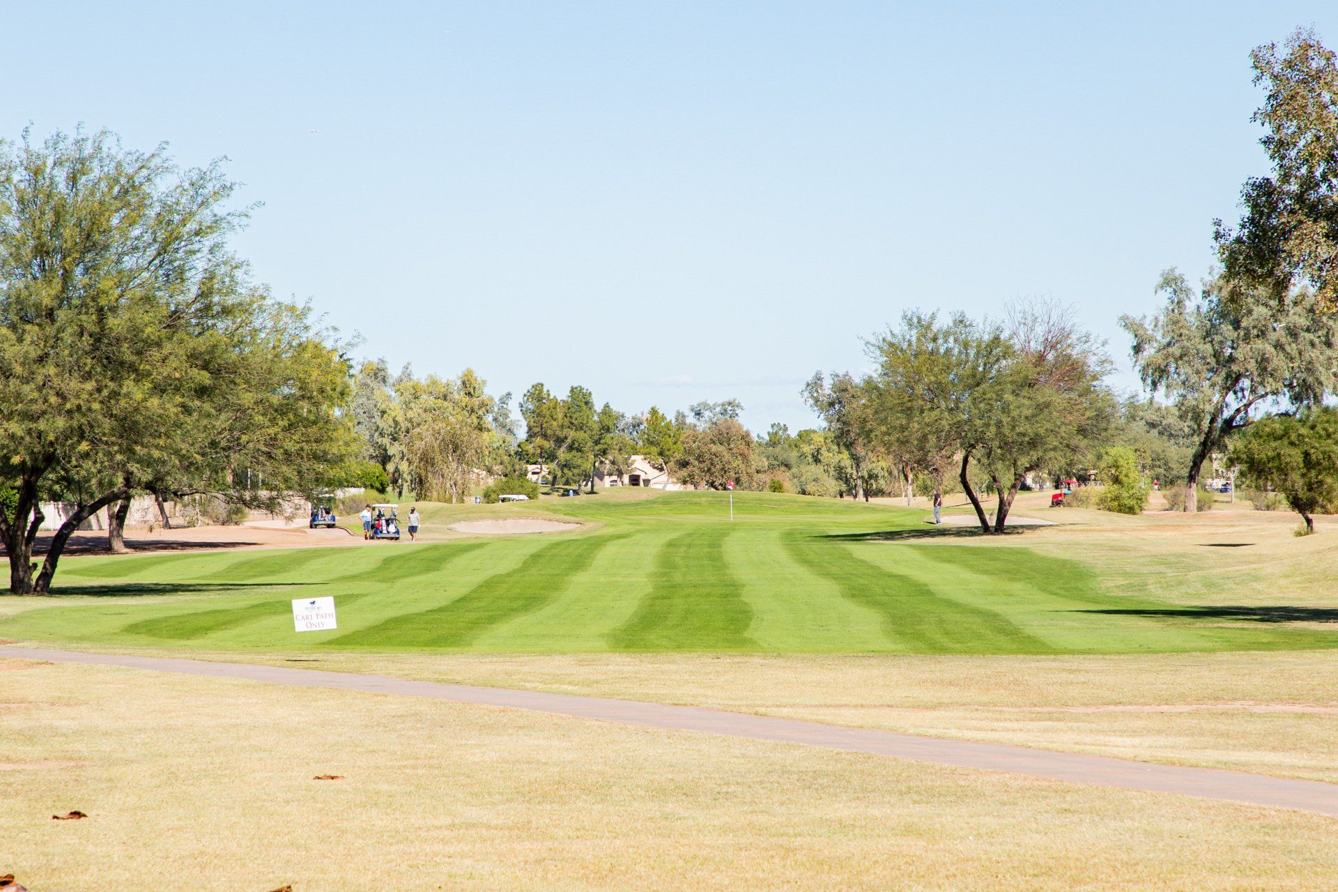 A golf course with a lot of grass and trees