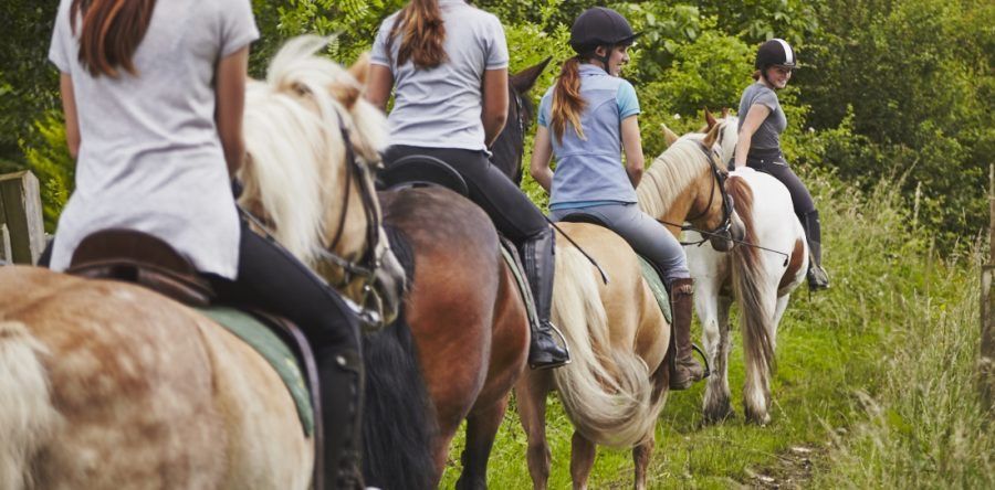 A group of people are riding horses in a field.