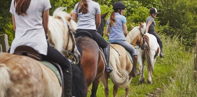 A group of people are riding horses in a field.