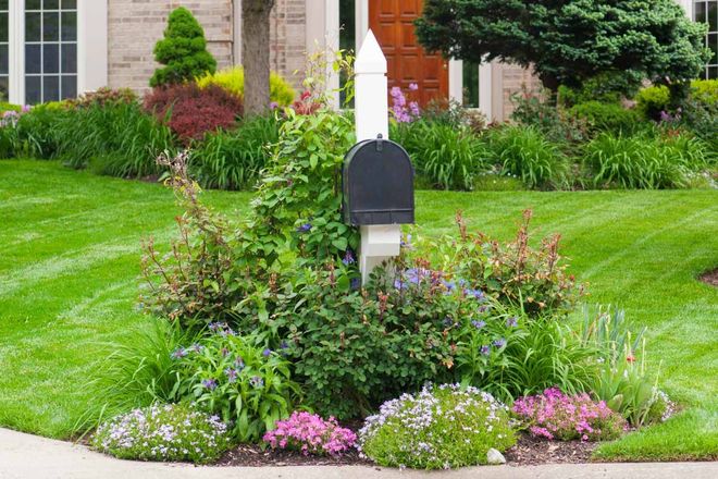 There is a mailbox in the middle of a lush green garden.
