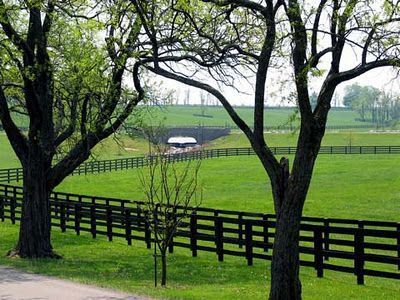 A fence surrounds a grassy field with trees in the foreground