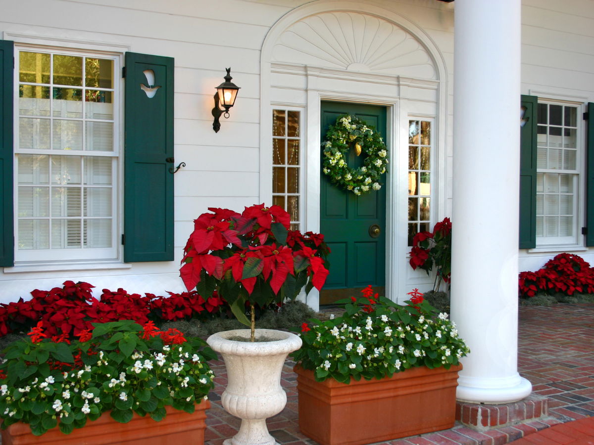White house front entrance with green door and shutters, Christmas wreath, and red poinsettias.