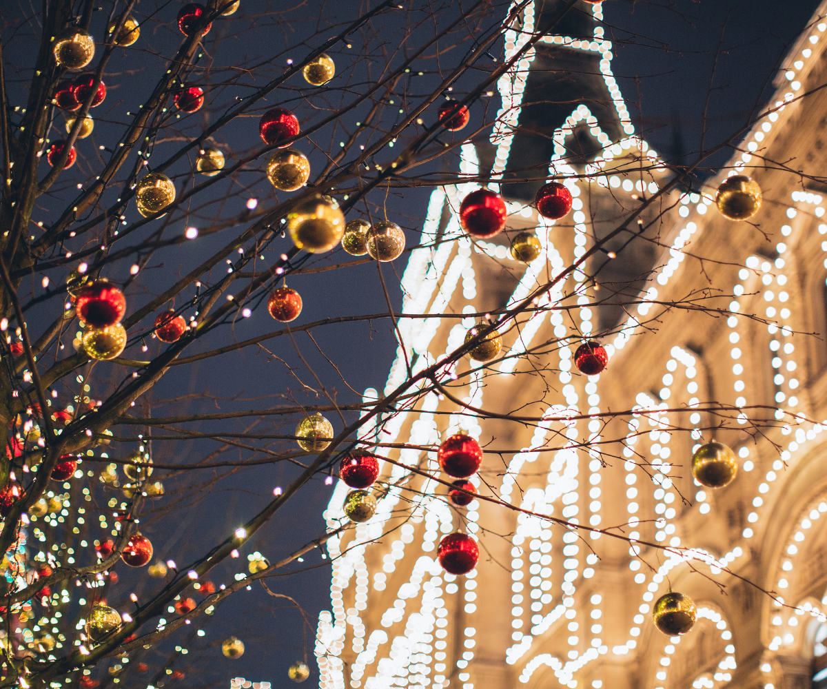 Branches with red and gold ornaments in front of a building decorated with string lights at night.