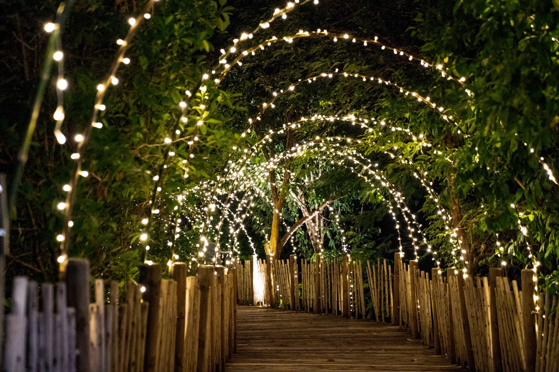 Wooden walkway beneath a tunnel of string lights in a dark, outdoor setting.