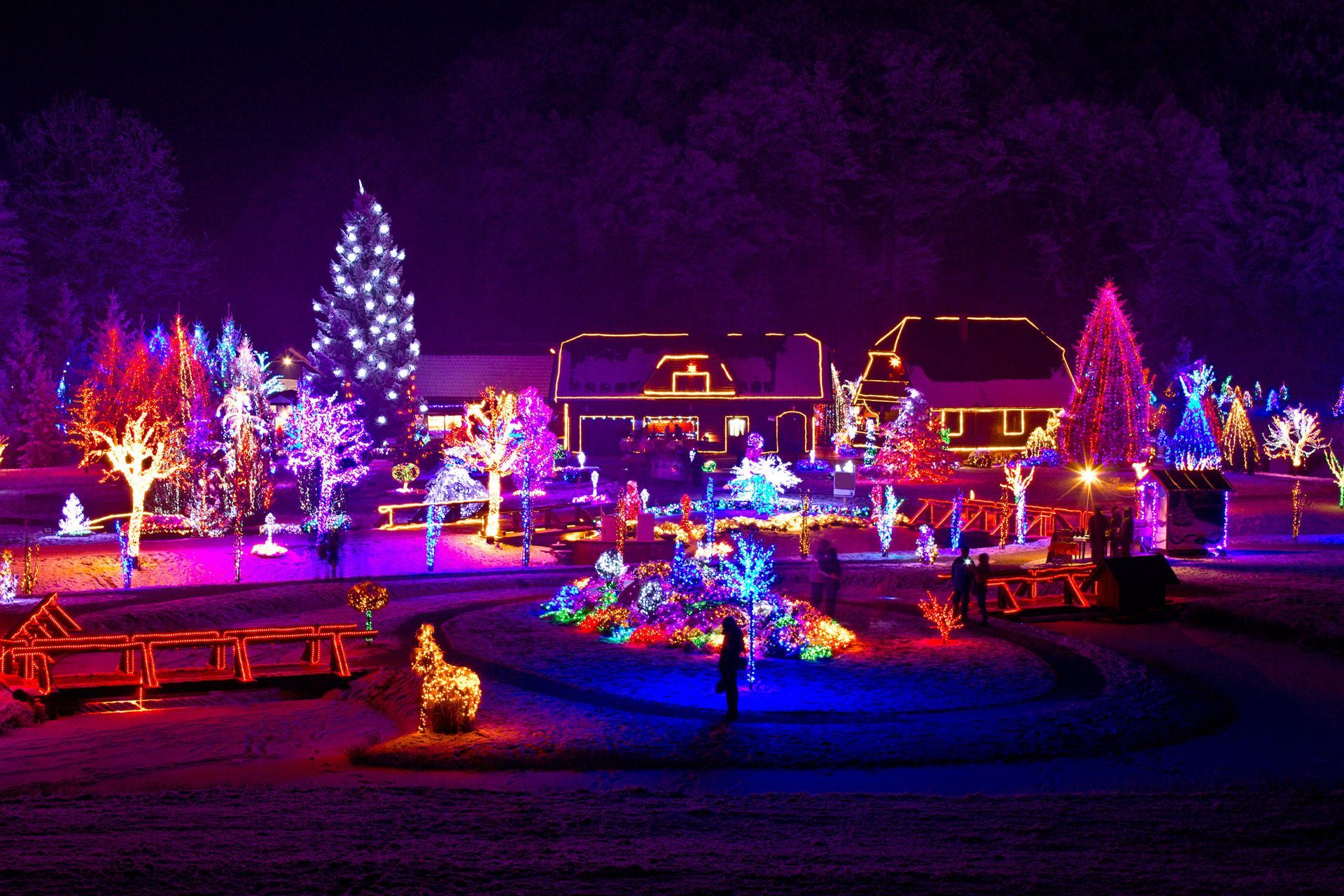 Christmas lights display at night, trees and buildings illuminated with colorful lights.