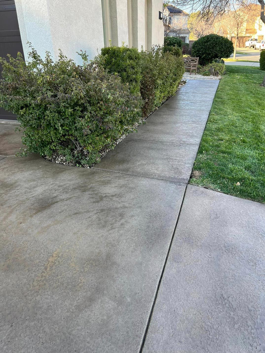 A concrete walkway leading to a house with bushes on the side of it.