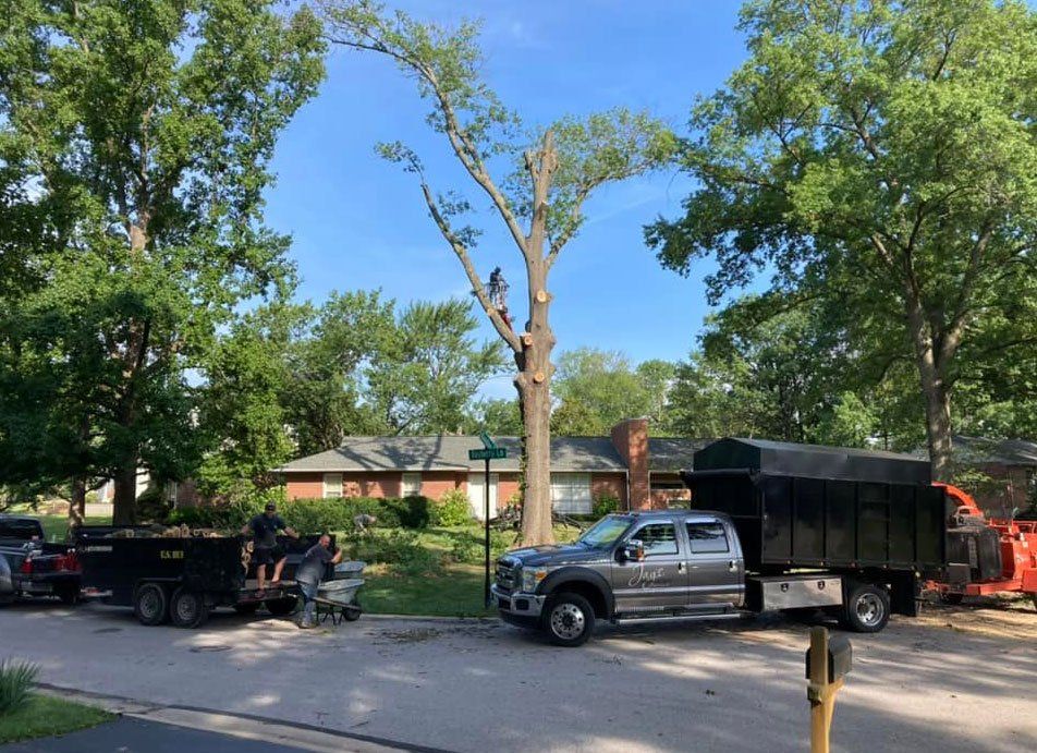 Tree Removal — Perryville, MO — Jay's Firewood & Mulch